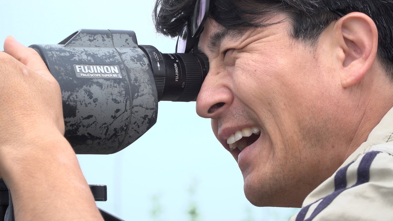 갯벌이 이렇게 시끄러운 곳이었나 | MovieLAB LAB